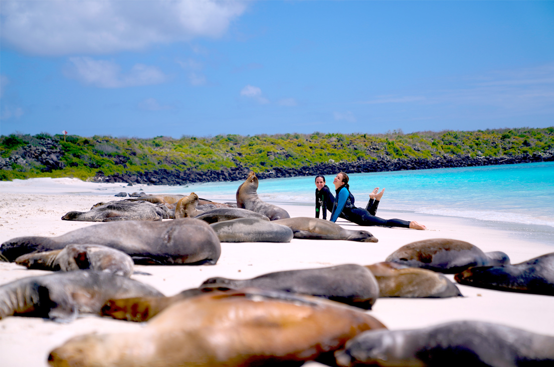 Two women laying on the beach with a group of sea lions