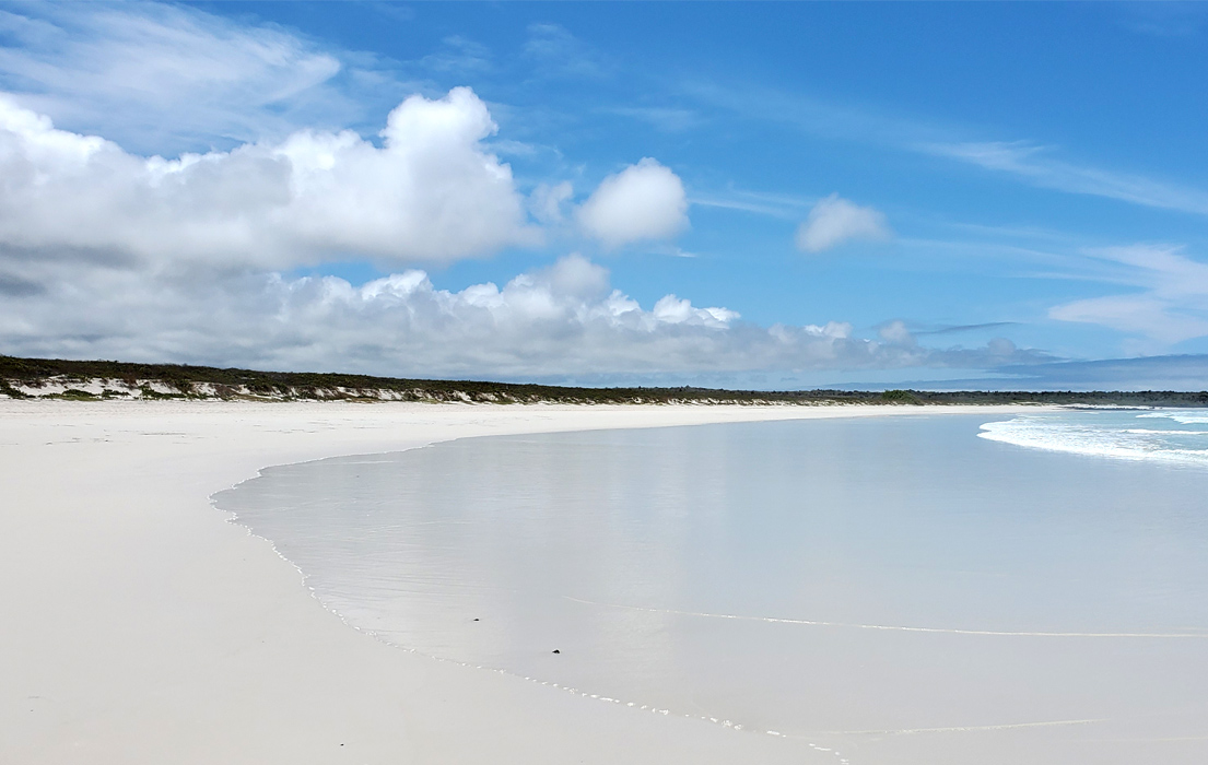 The wide beach of Tortuga Bay