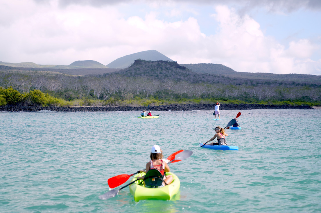 Group of passengers kayaking in the sea
