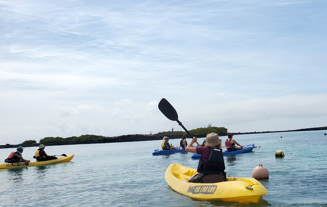 Group a passengers kayaking in Tintoreras