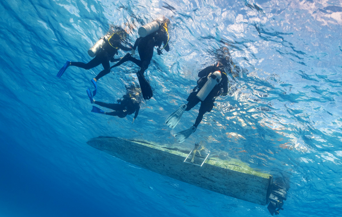 Scuba diving students in the sea